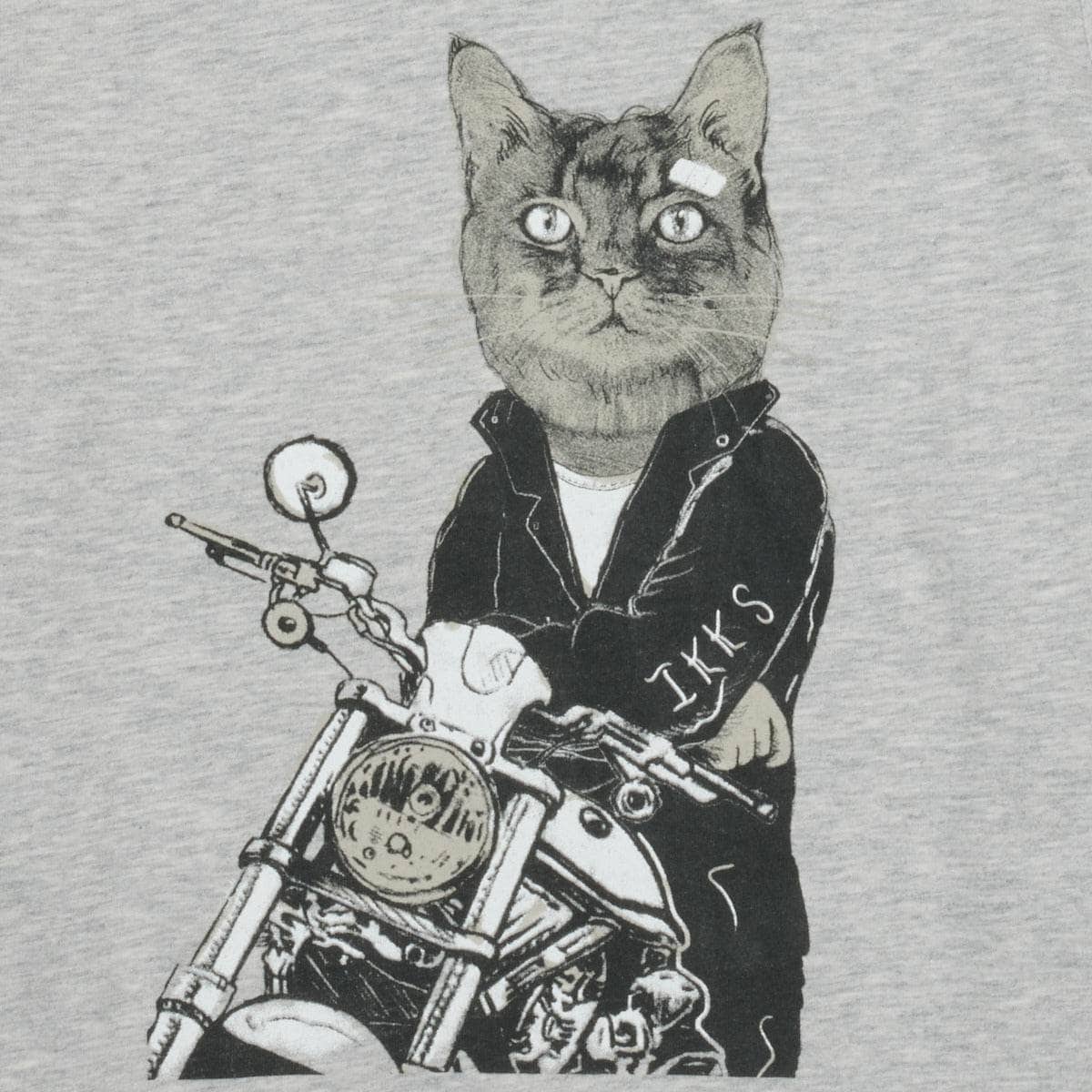 T-shirt ragazzo Ikks XW10413 Grigio