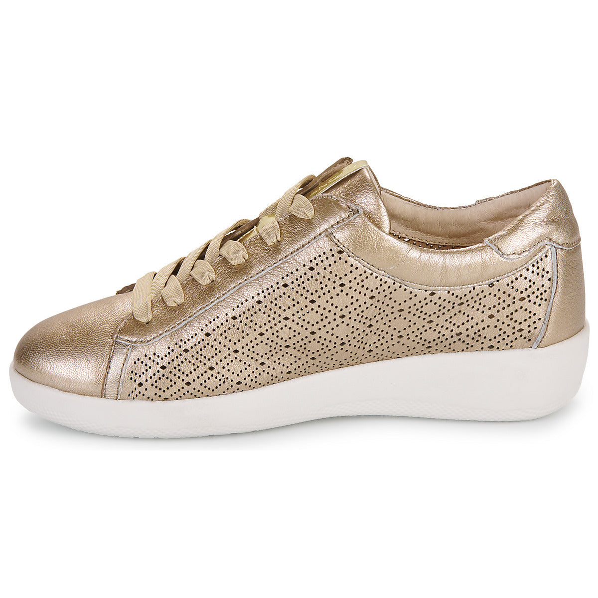 Sneakers basse Donna Stonefly PASEO IV 29 LAMINATED LTH Oro