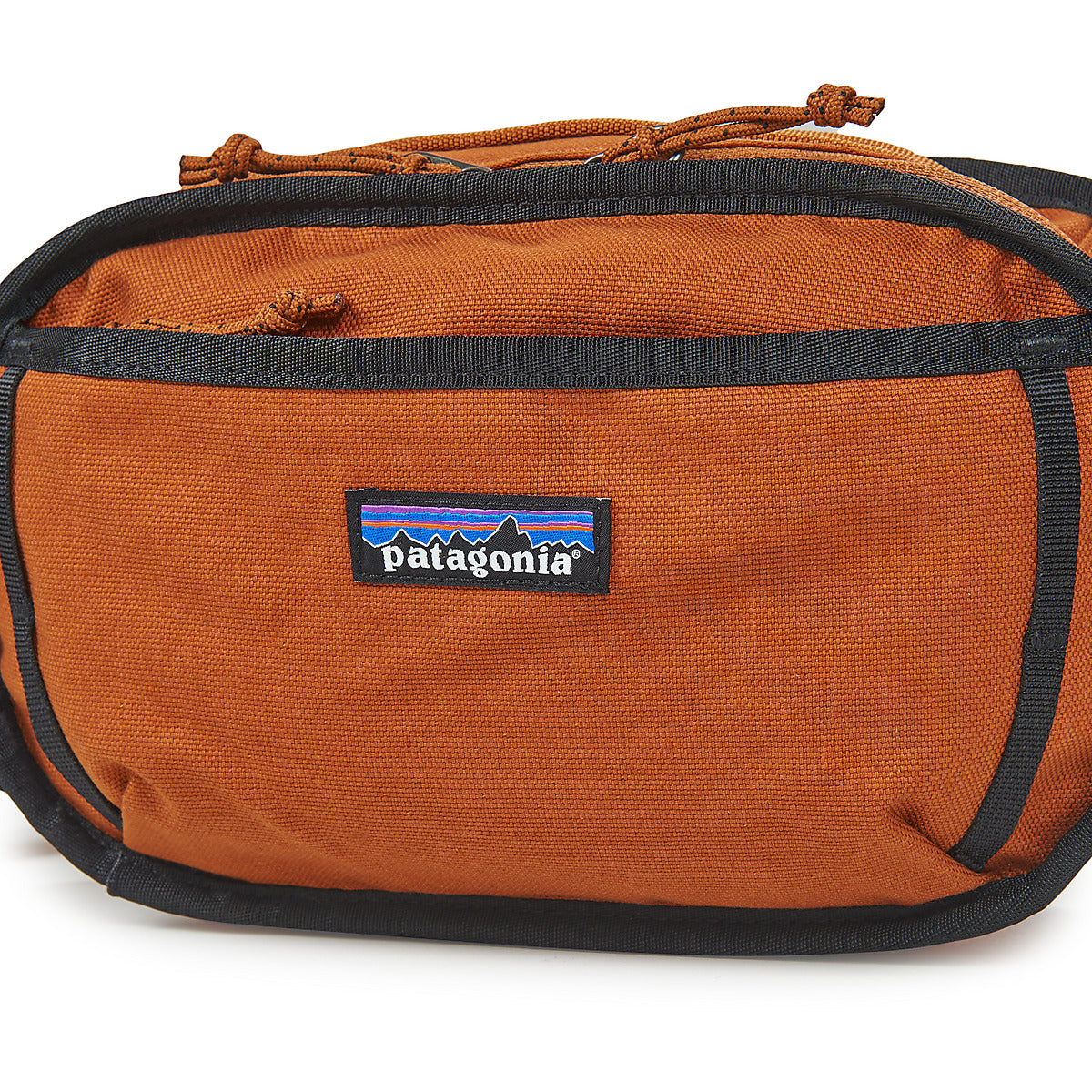 Marsupio Uomo Patagonia FIELDSMITH HIP PACK Marrone