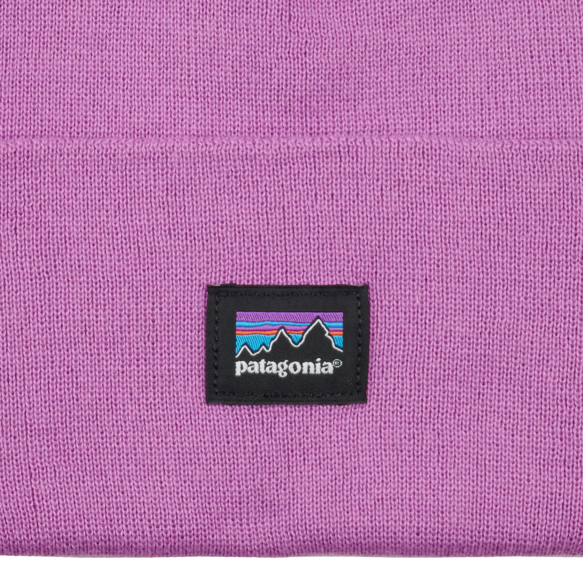 Berretto Uomo Patagonia EVERYDAY BEANIE Viola