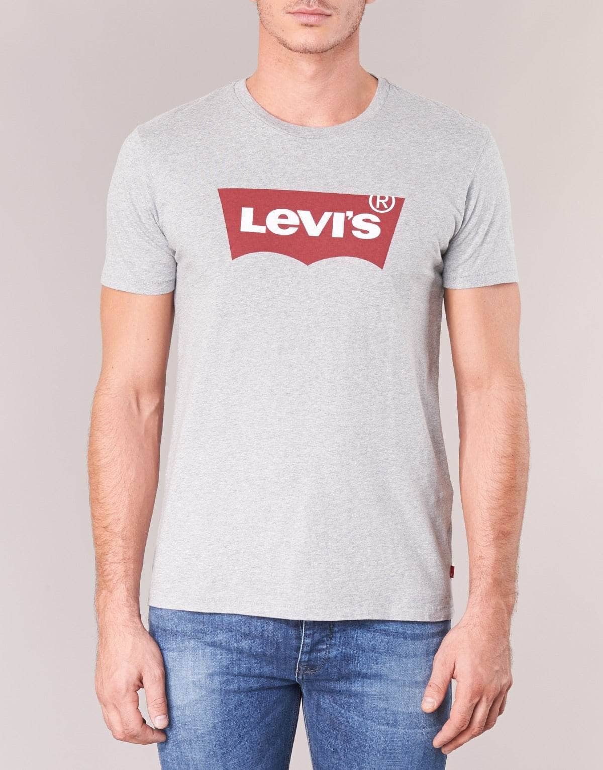 T-shirt Uomo Levis GRAPHIC SET-IN Grigio