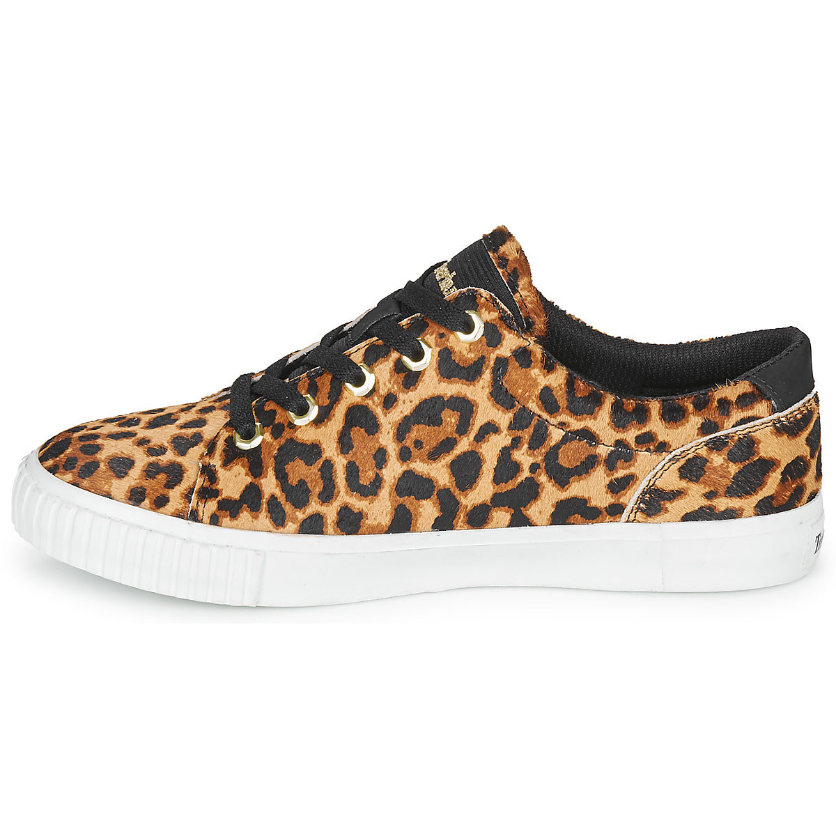 Sneakers basse Donna Timberland SKYLA BAY LEATHER OXFORD Marrone