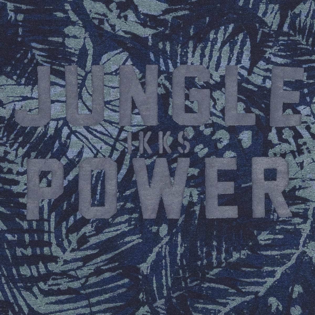 T-shirt ragazzo Ikks XS10153-46-C Blu