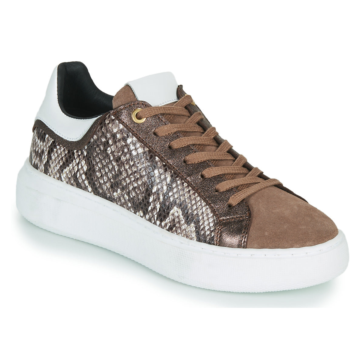 Sneakers basse Donna JB Martin HIBISCUS Marrone