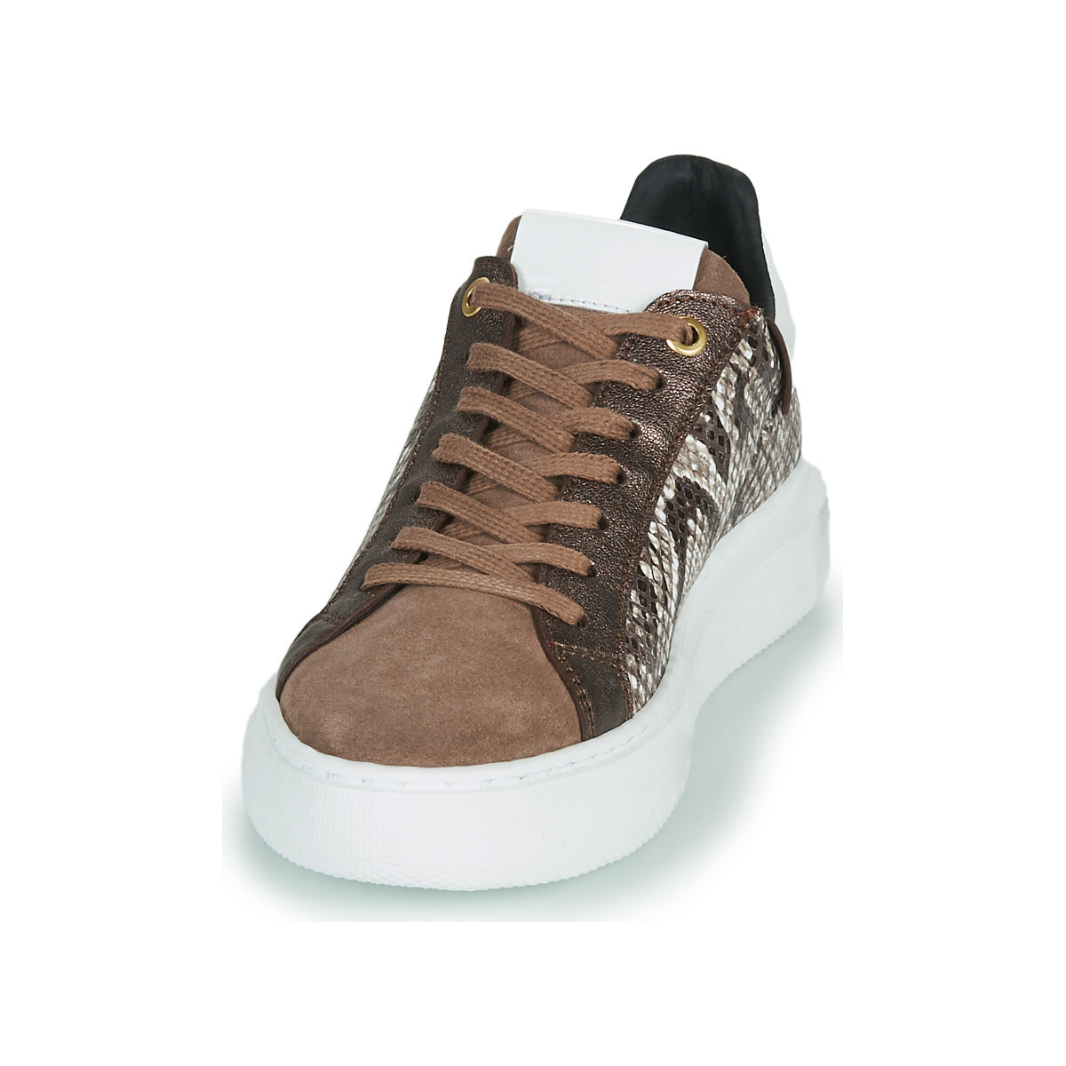 Sneakers basse Donna JB Martin HIBISCUS Marrone