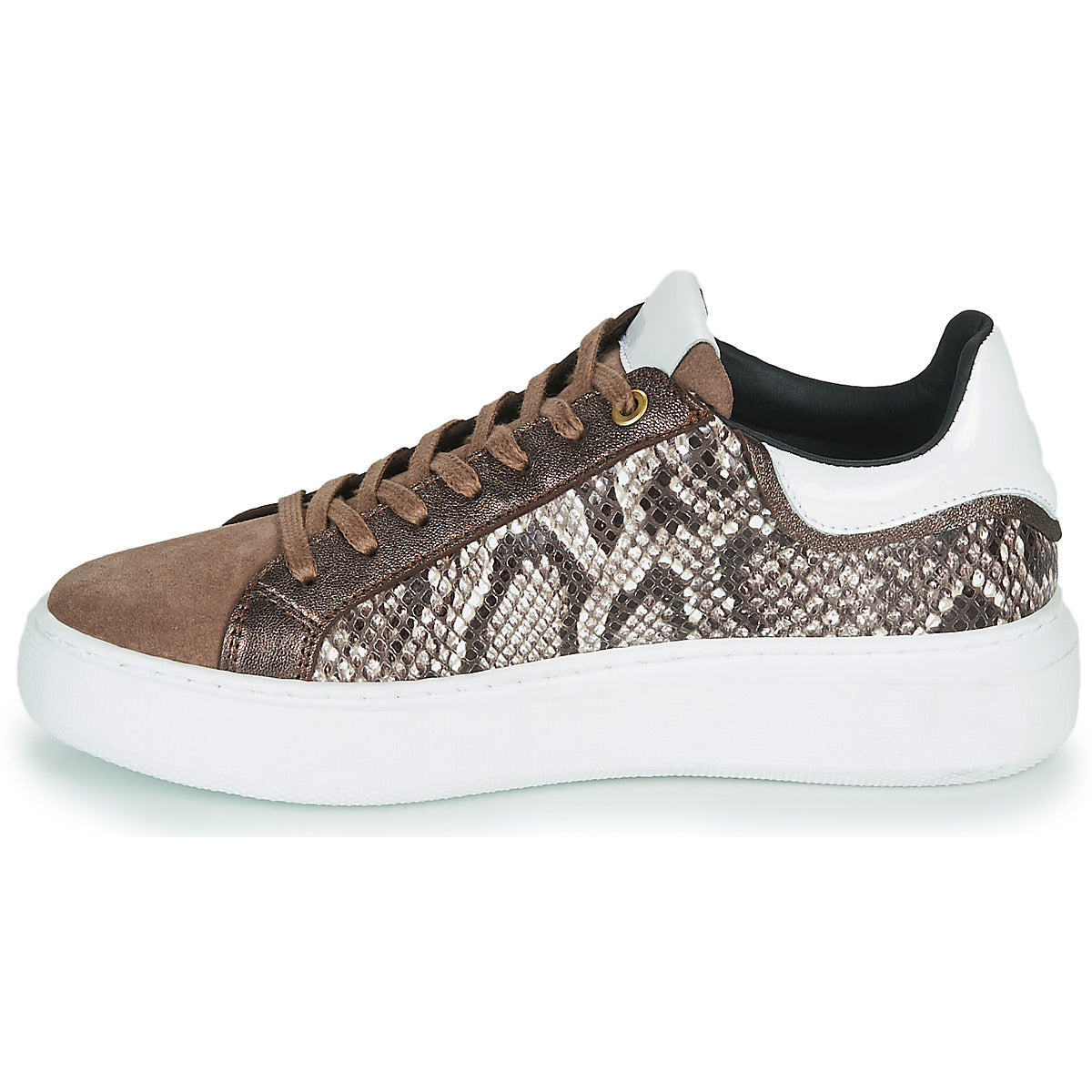 Sneakers basse Donna JB Martin HIBISCUS Marrone