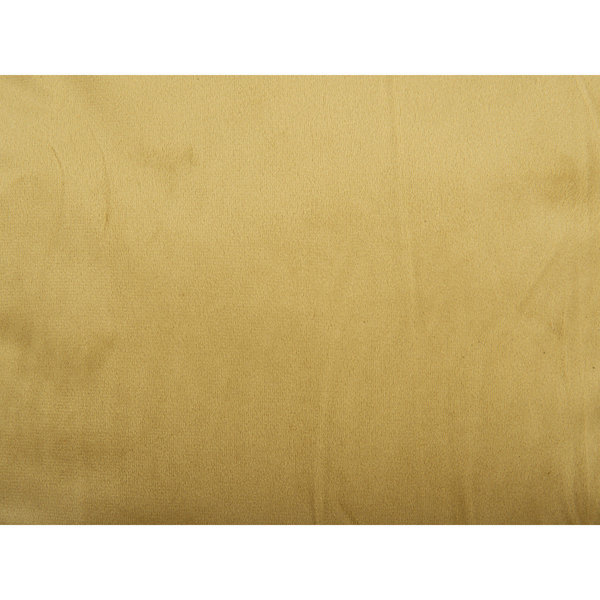 cuscini Present Time TENDER Verde