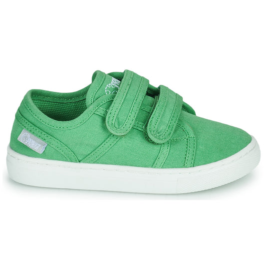 Scarpe bambini ragazzo Primigi  1960122  Verde