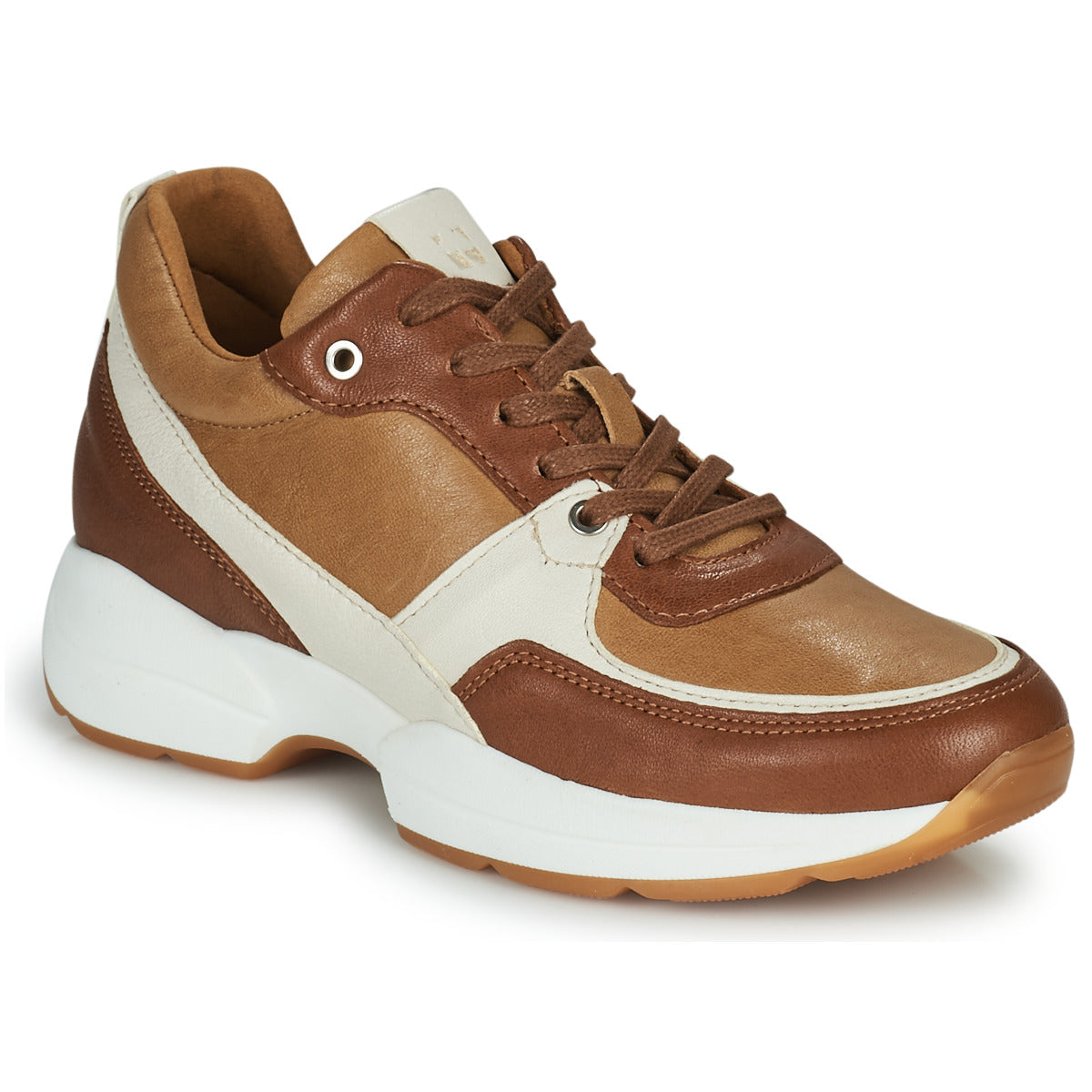 Sneakers basse Donna Dream in Green  AGAPANTHE  Marrone