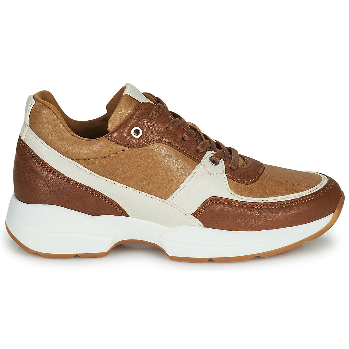 Sneakers basse Donna Dream in Green  AGAPANTHE  Marrone