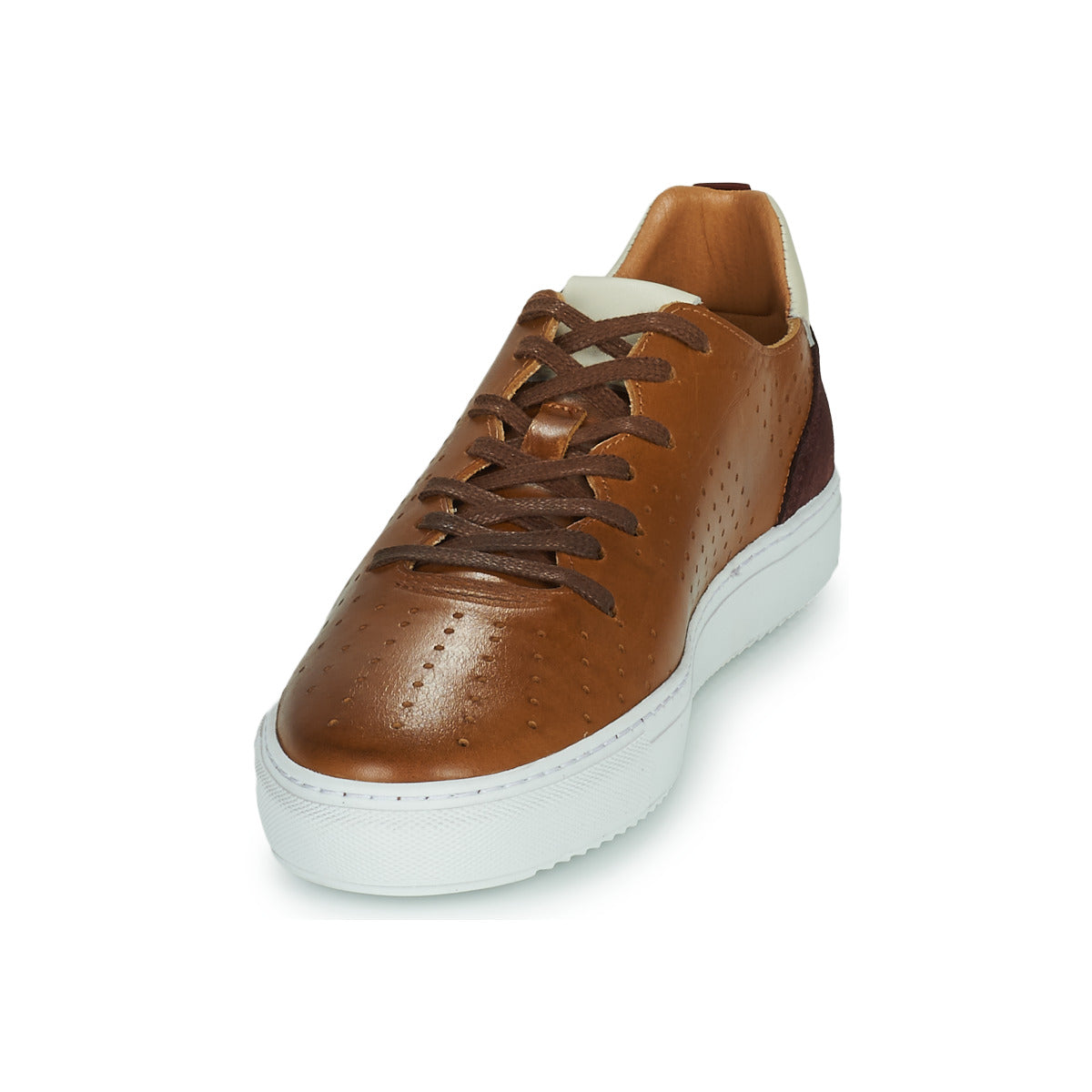 Sneakers Uomo Carlington FREDDI Marrone
