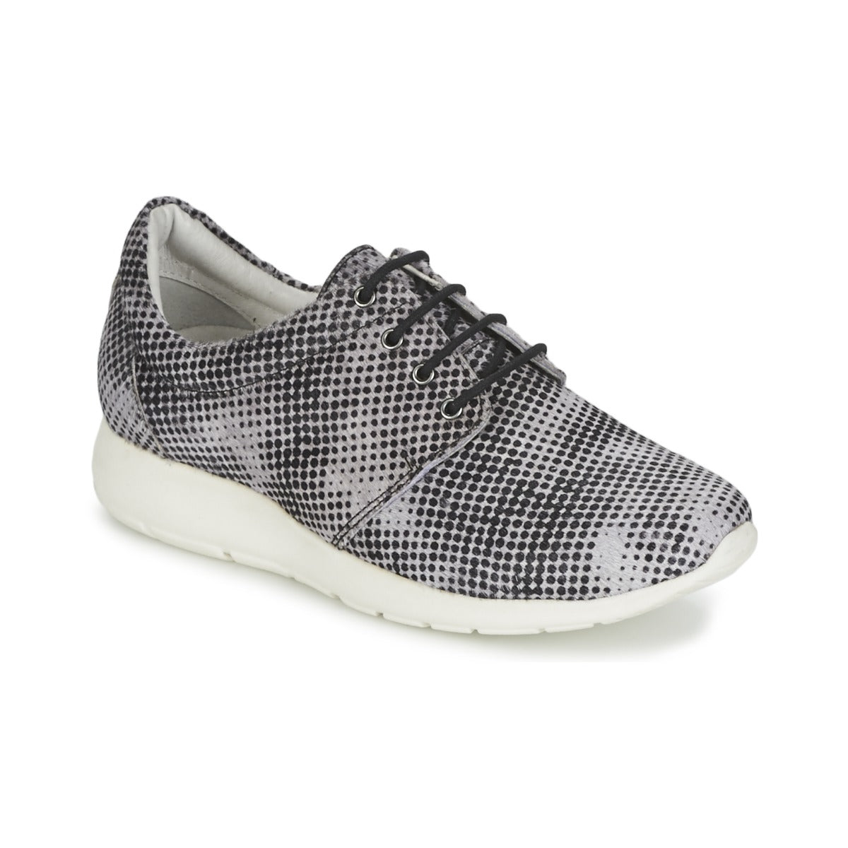 Sneakers basse Donna Maruti WING Marrone