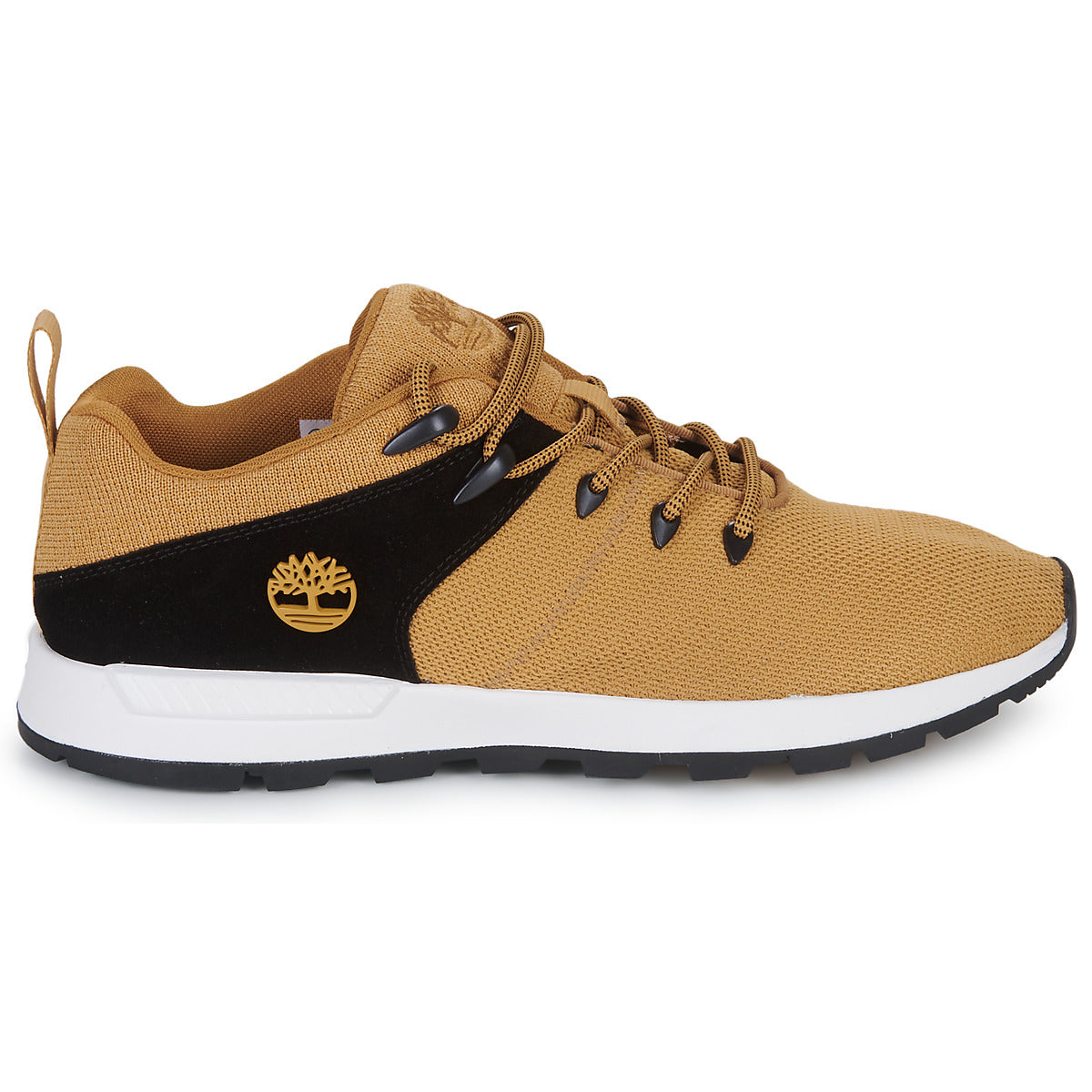Sneakers Uomo Timberland SPRINT TREKR LOW KNIT Marrone