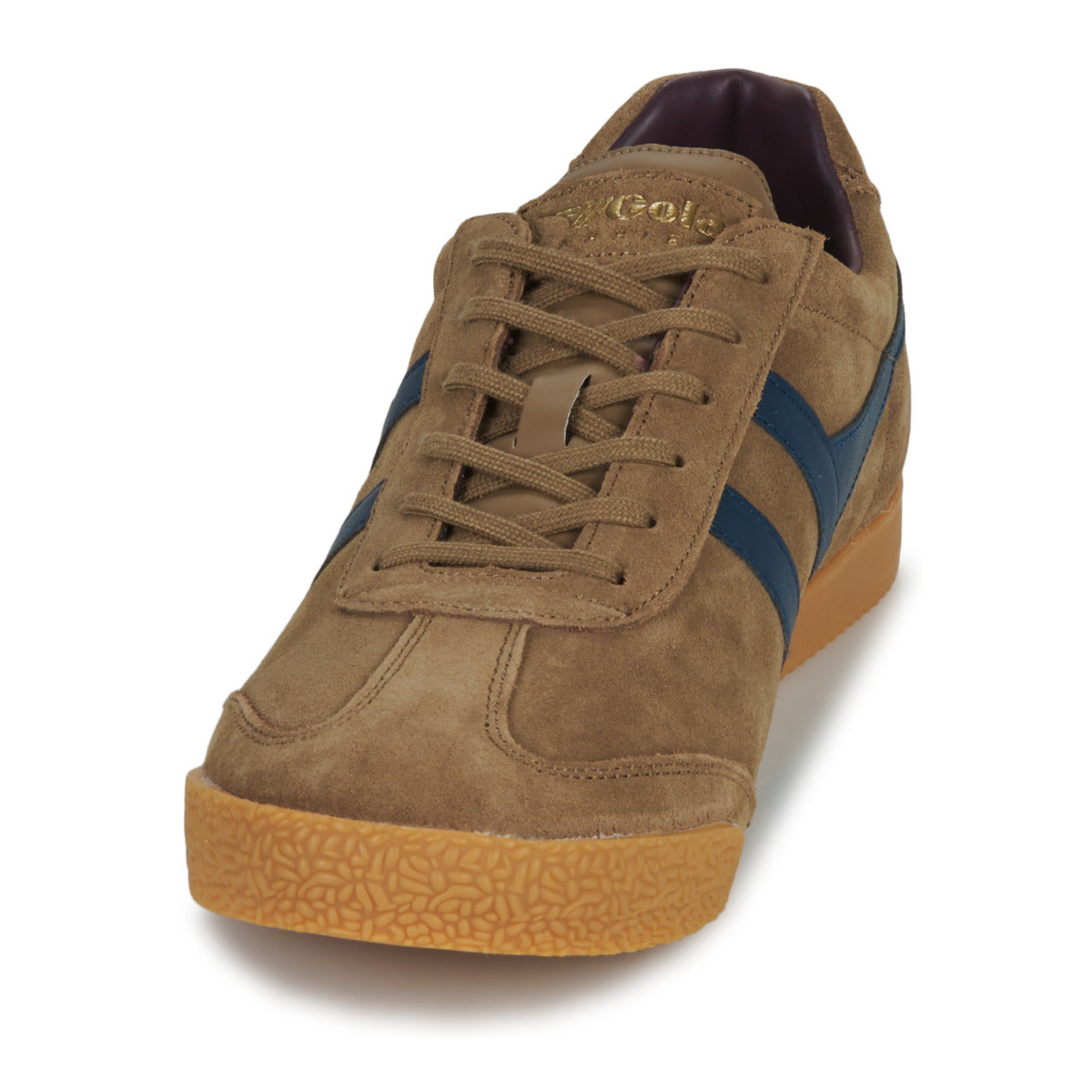 Sneakers Uomo Gola HARRIER Marrone