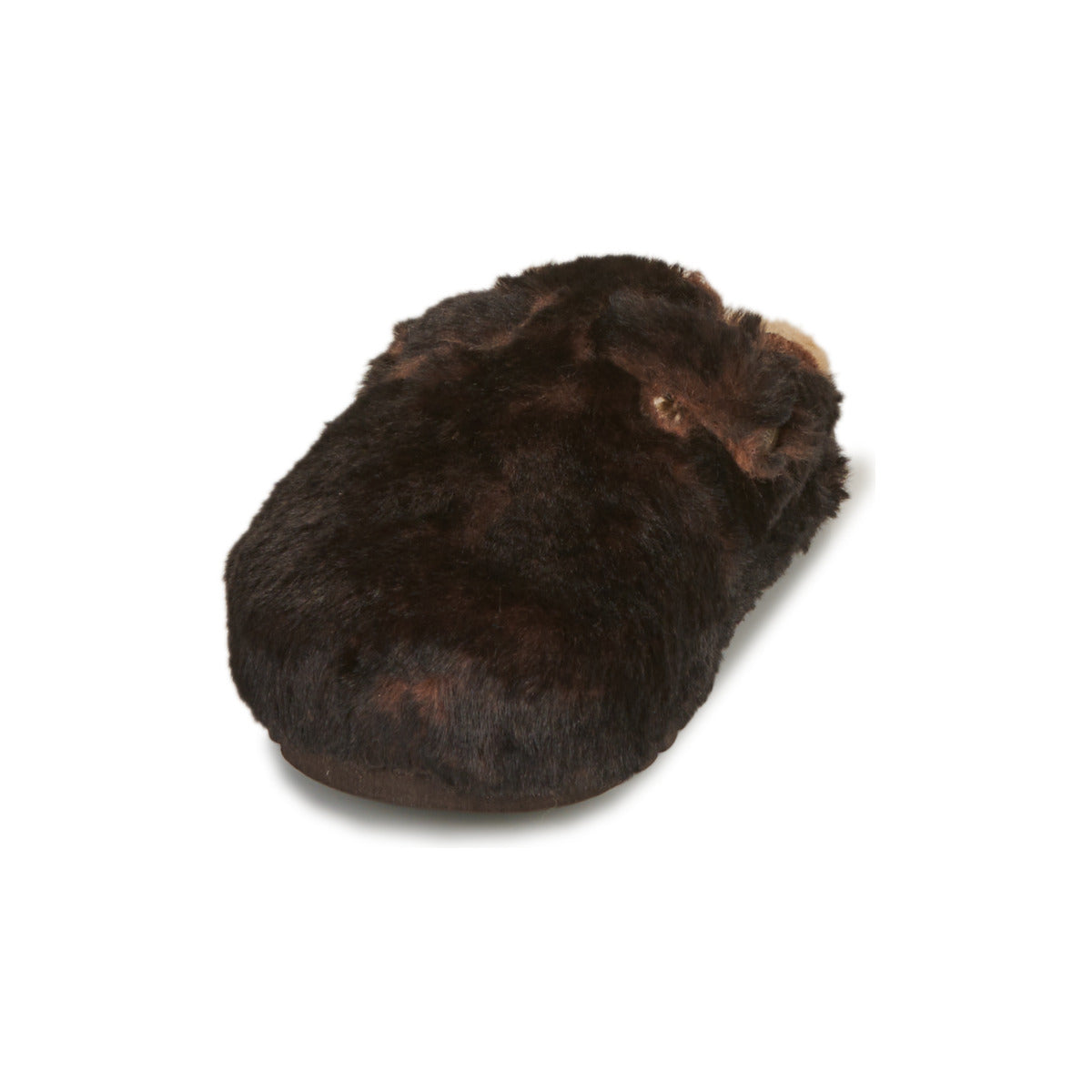 Scarpe Donna Scholl  FAE  Marrone