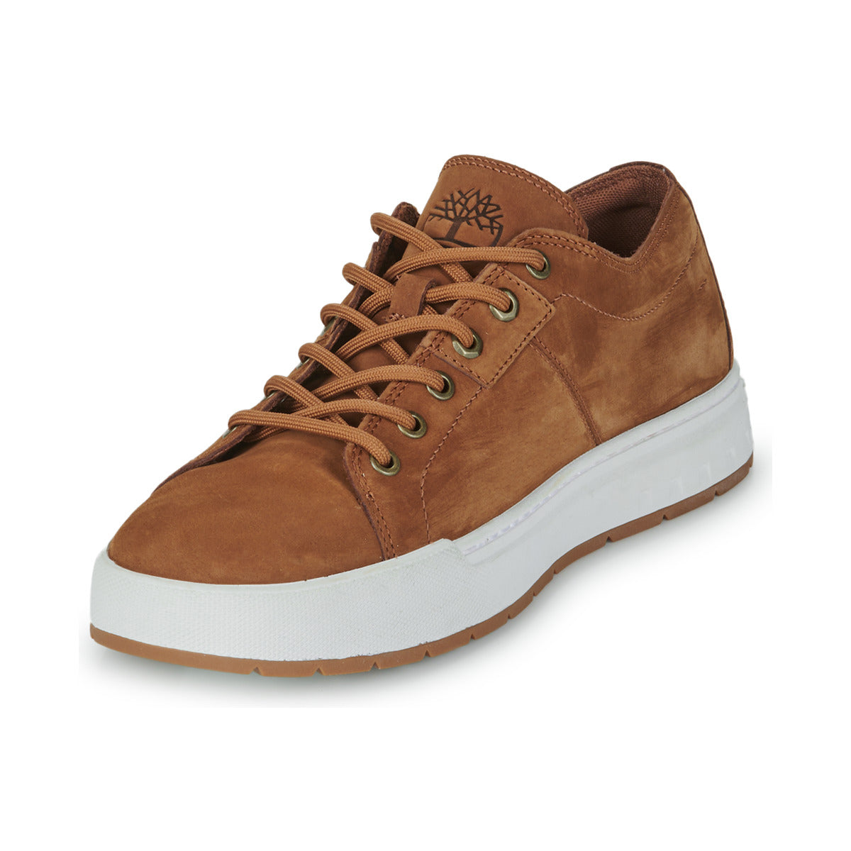 Sneakers Uomo Timberland  MAPLE GROVE  Marrone