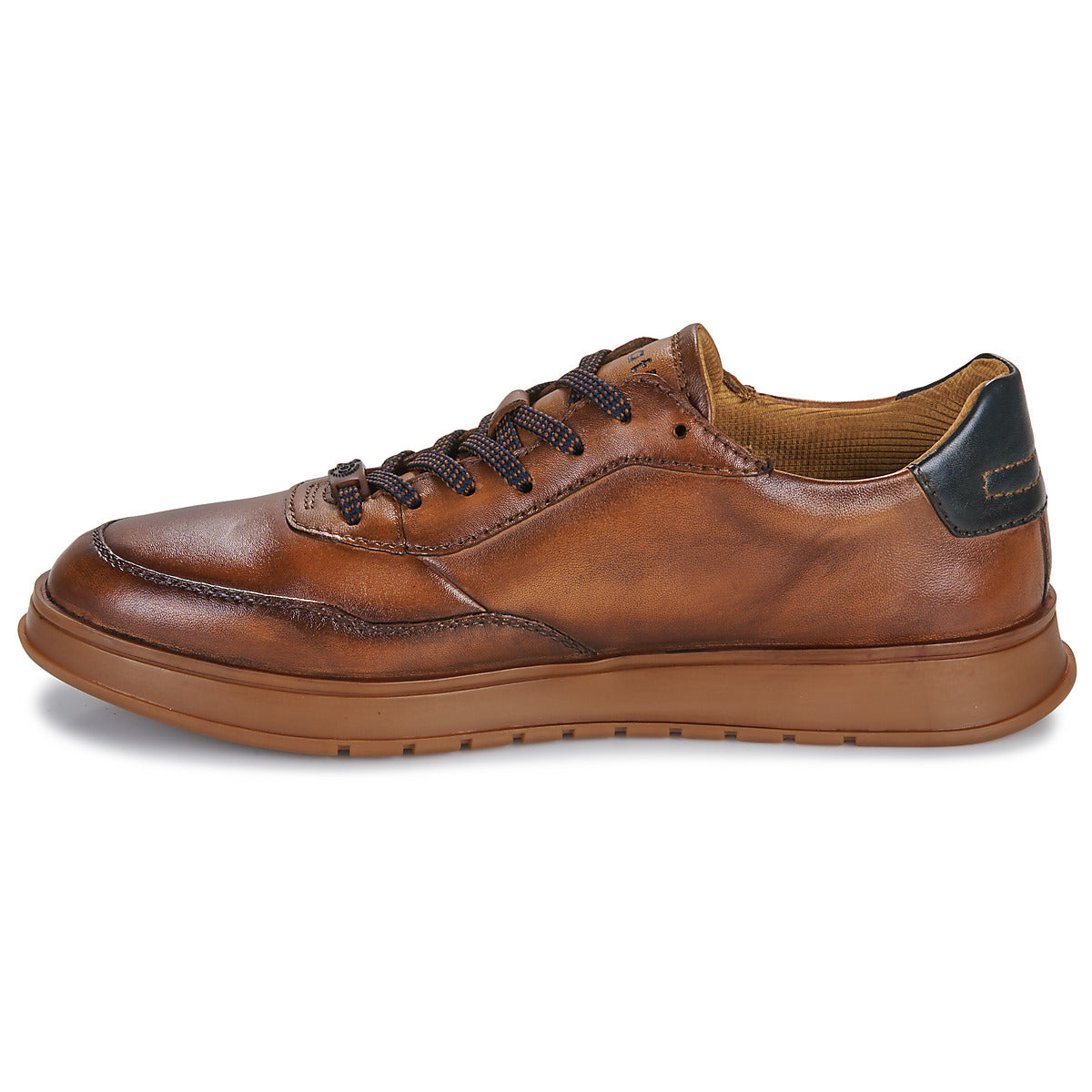 Sneakers Uomo Bugatti  322AIO014100-6300  Marrone