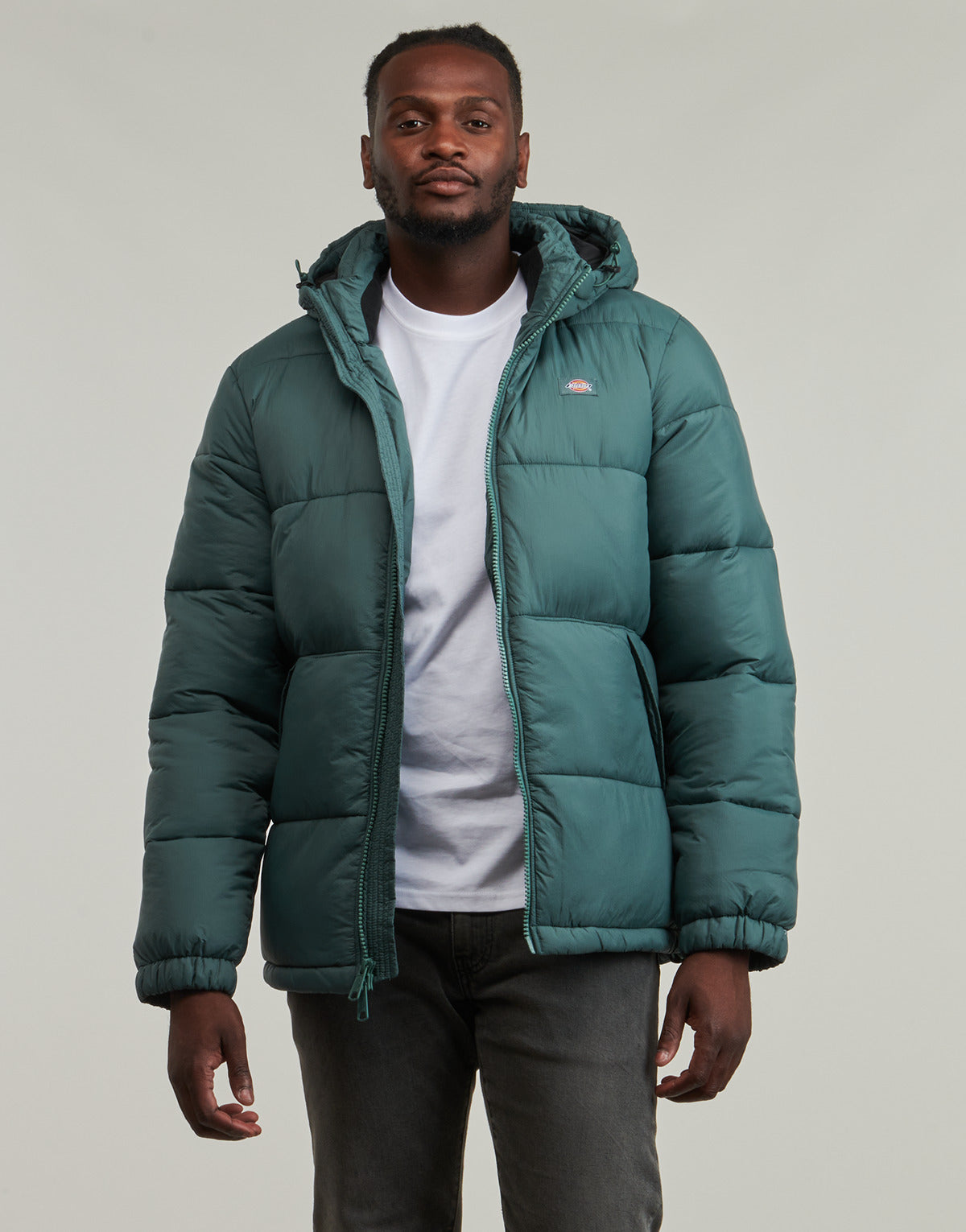 Piumino Uomo Dickies  WALDENBURG HOODED JACKET  Verde