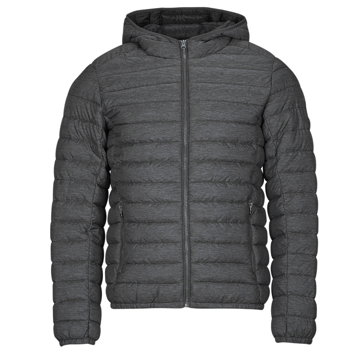 Piumino Uomo Teddy Smith BLIGHTER Grigio