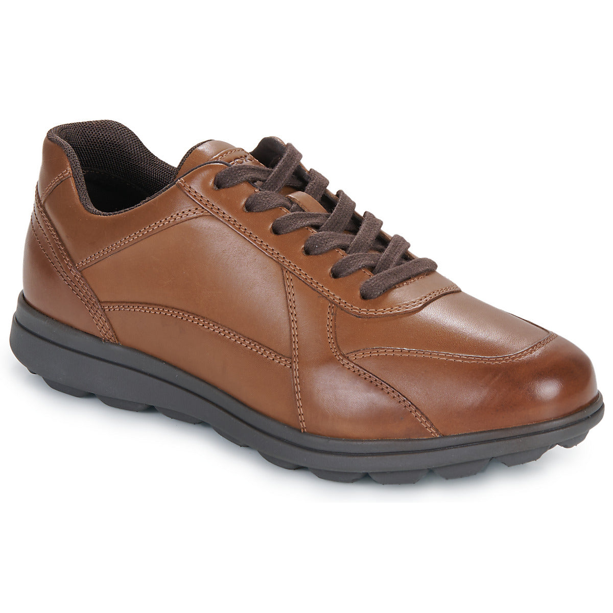 Sneakers Uomo Geox  U SPHERICA EC12  Marrone