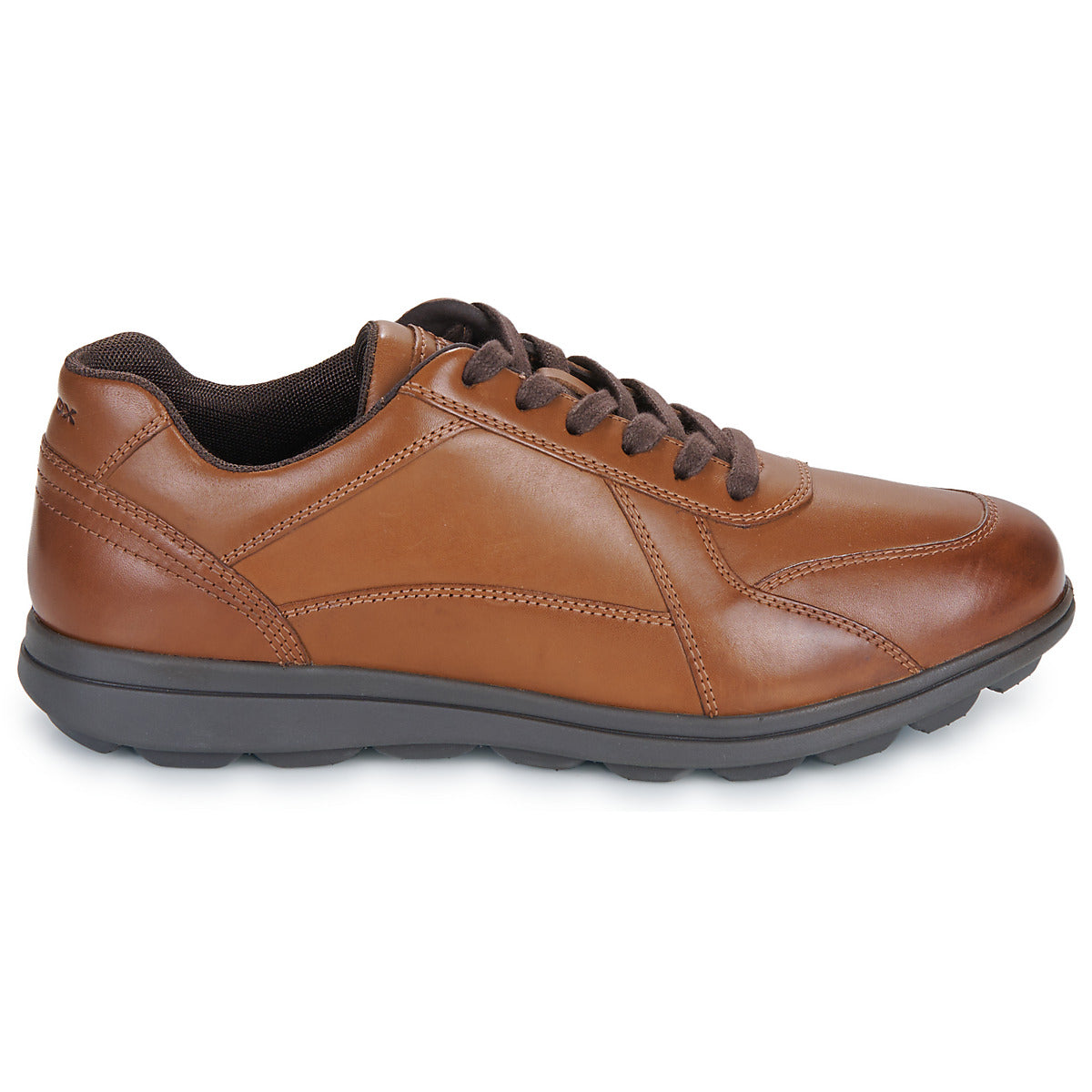 Sneakers Uomo Geox  U SPHERICA EC12  Marrone