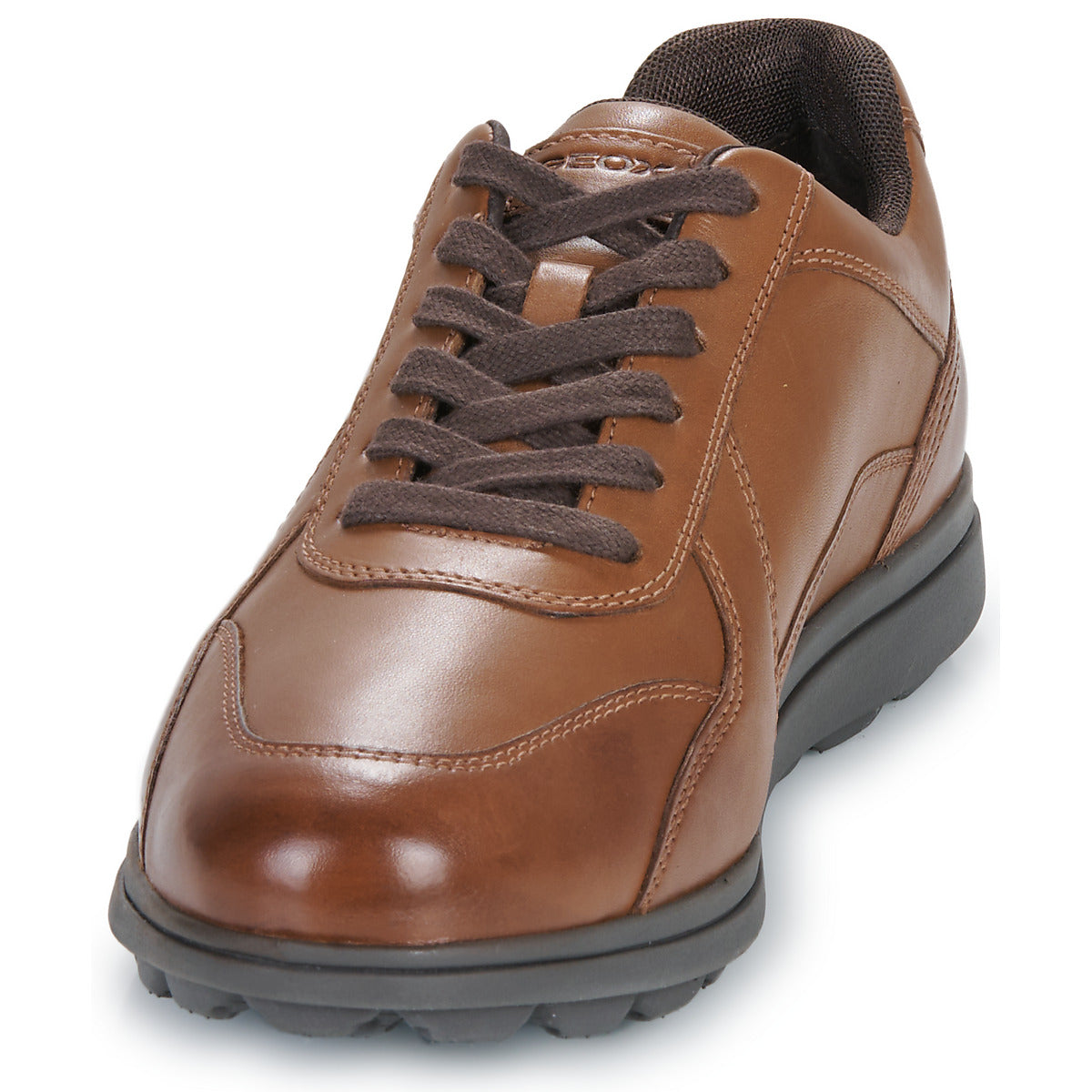 Sneakers Uomo Geox  U SPHERICA EC12  Marrone