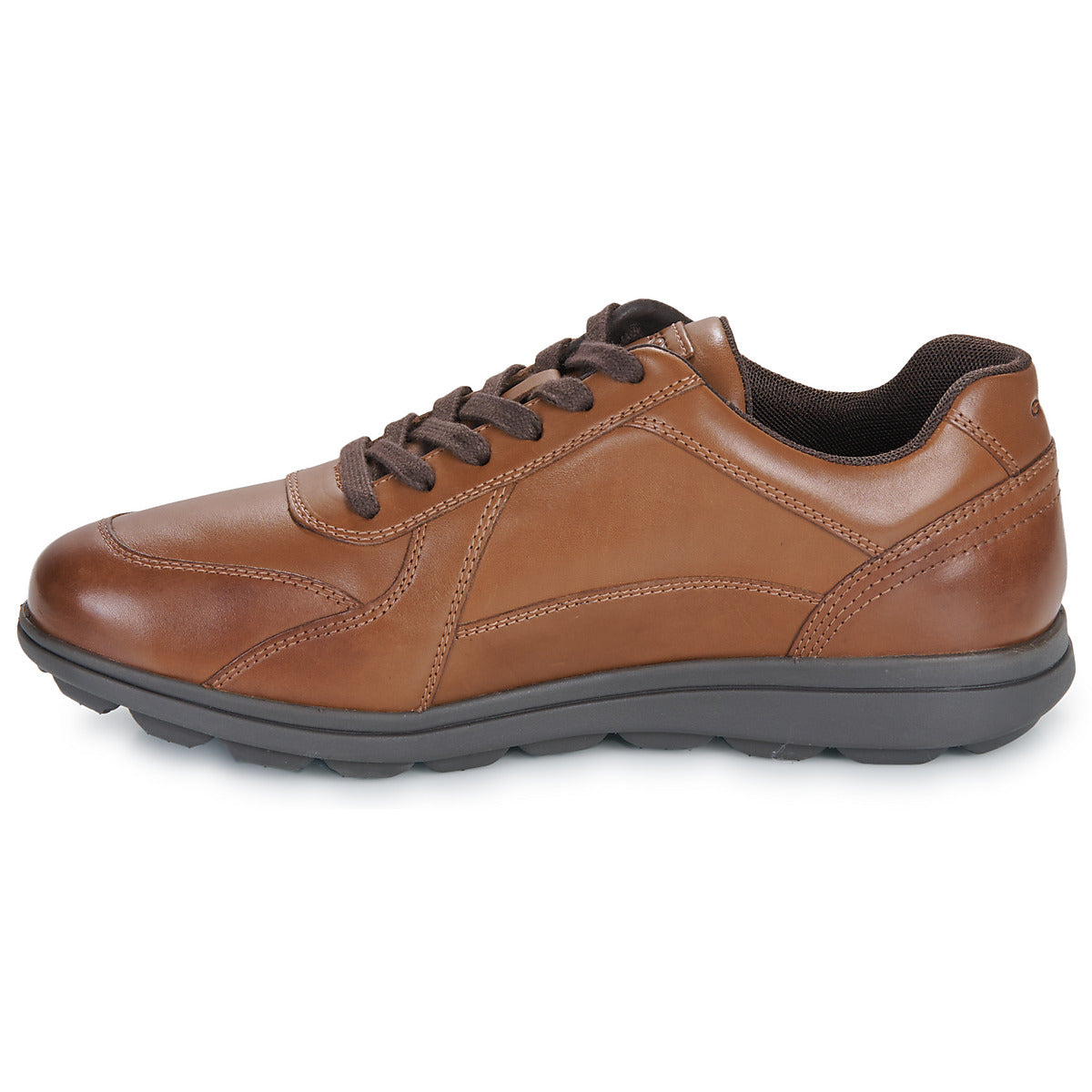 Sneakers Uomo Geox  U SPHERICA EC12  Marrone