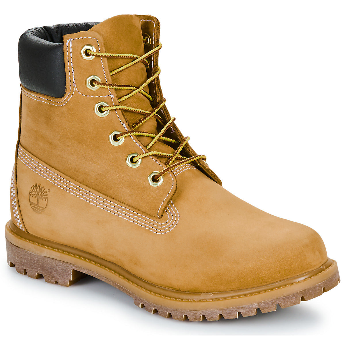 Stivaletti Donna Timberland TIMBERLAND PREMIUM 6 INCH Marrone