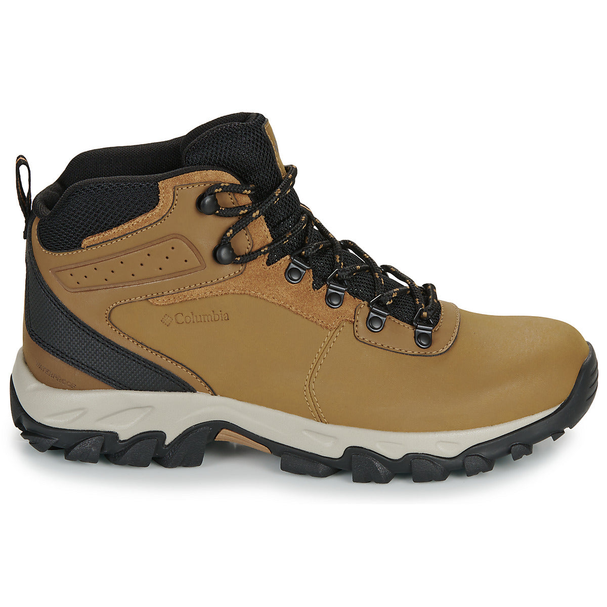 Scarpe da trekking Uomo Columbia  NEWTON RIDGE PLUS II WATERPROOF  Marrone