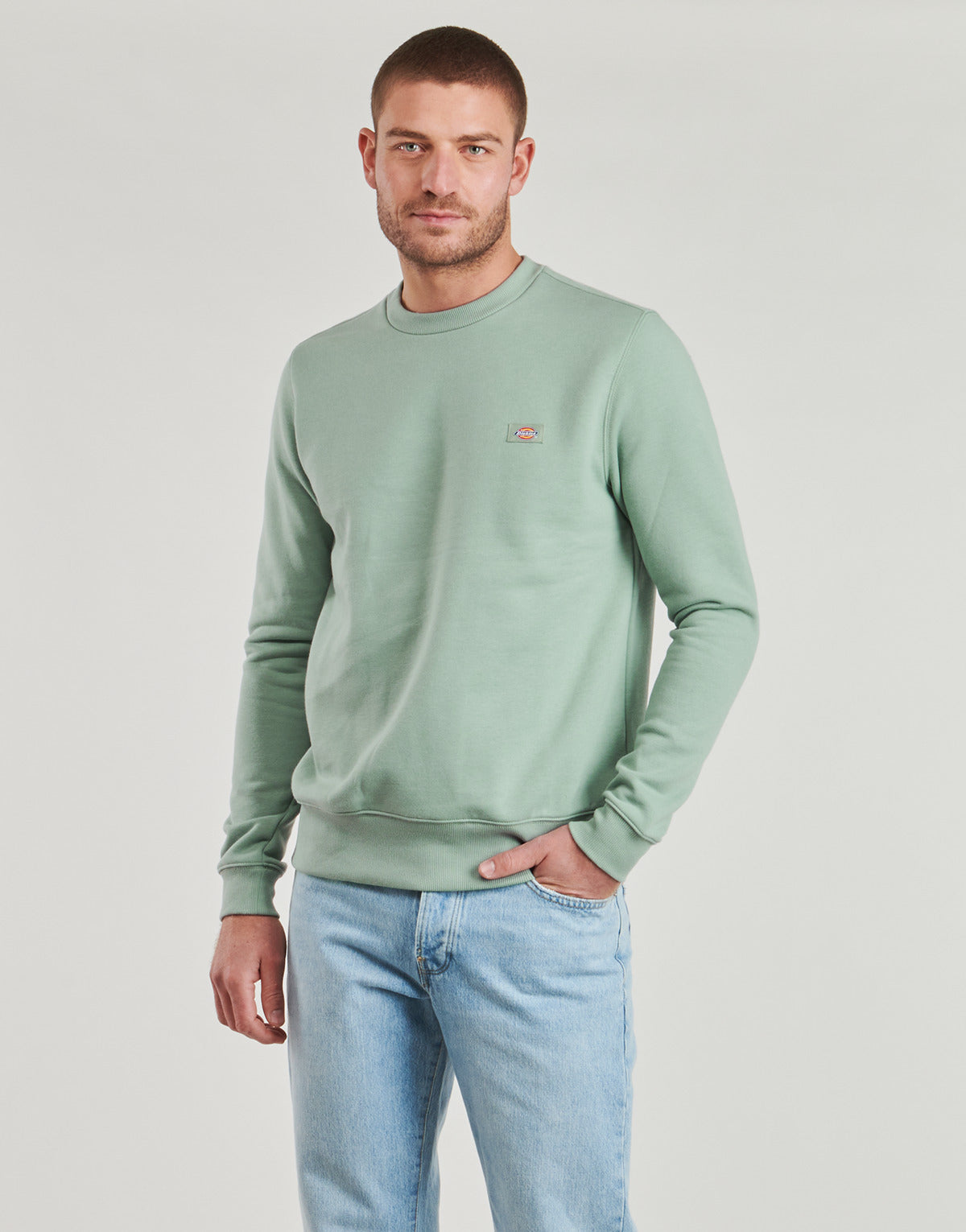 Felpa Uomo Dickies OAKPORT SWEATSHIRT Verde