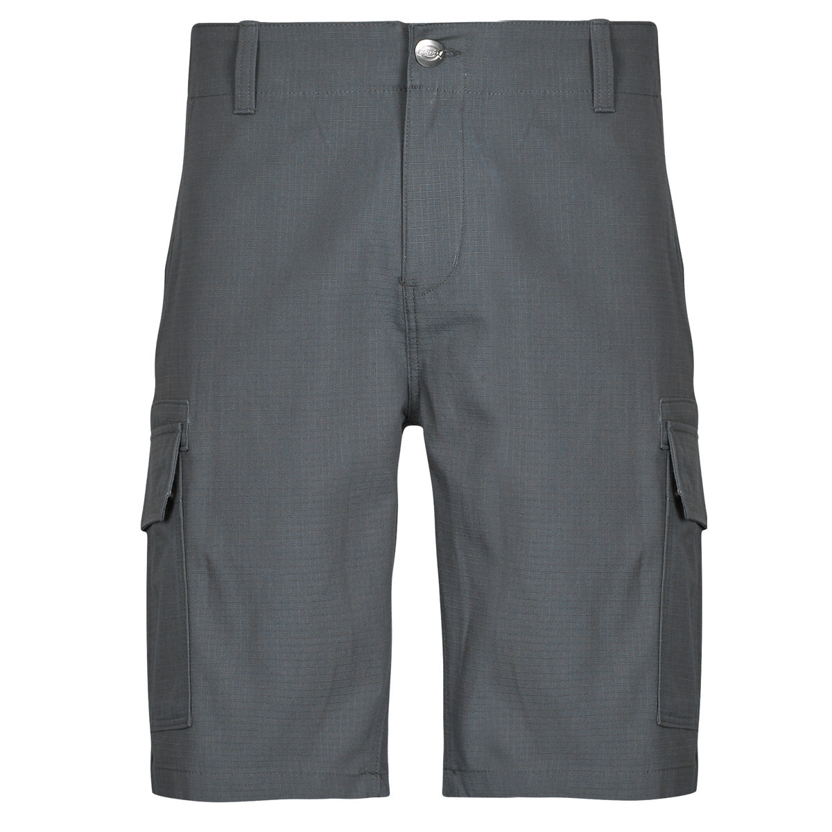 Pantaloni corti Uomo Dickies MILLERVILLE SHORT Grigio