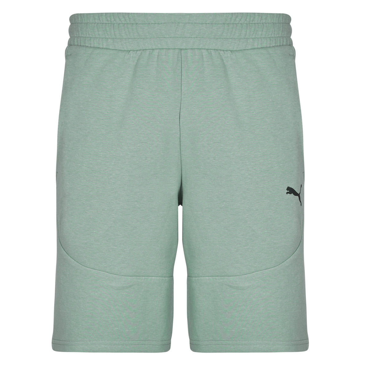 Pantaloni corti Uomo Puma PUMATECH SHORTS Blu