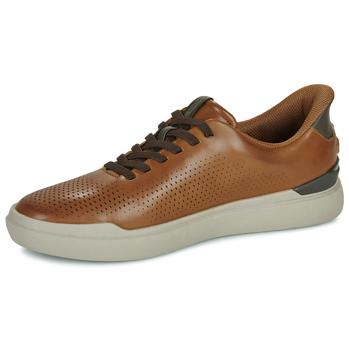 Scarpe Uomo Skechers  OWEN CONNELL SLIP-INS  Marrone