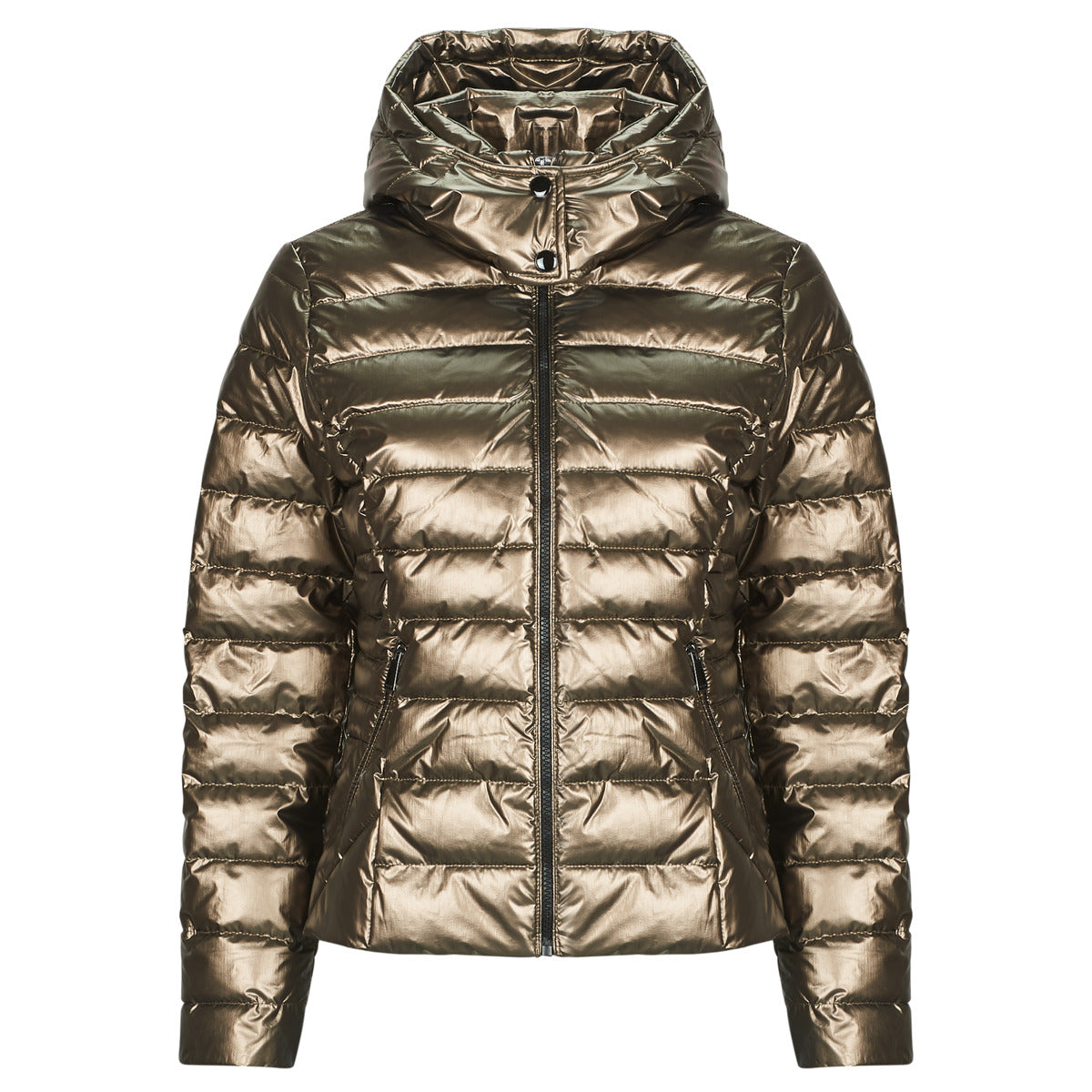 Piumino Donna Morgan  GELOLA  Kaki