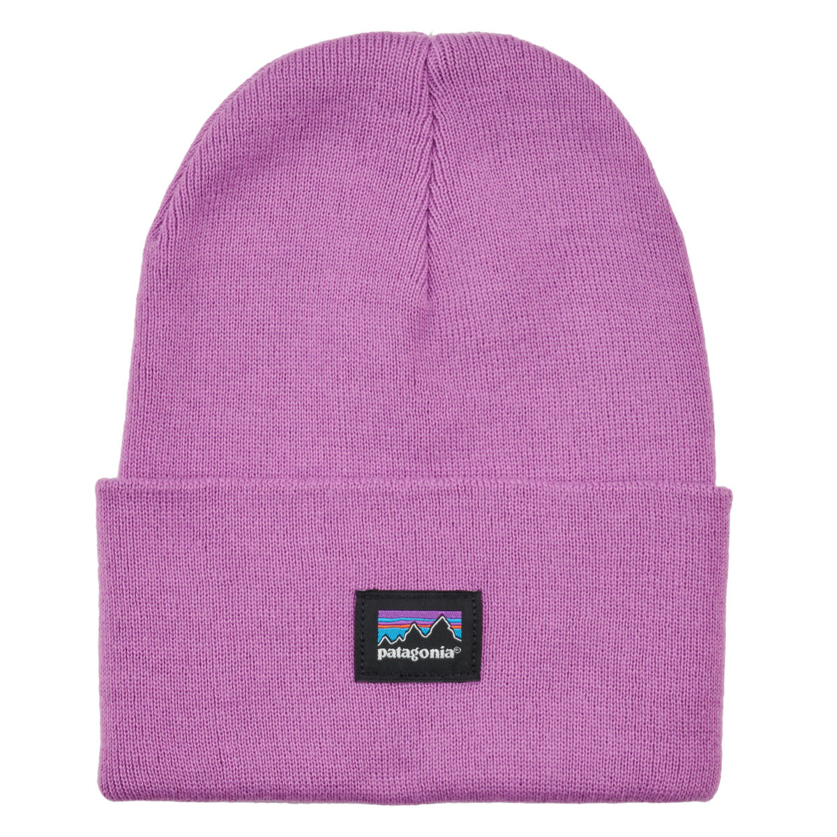 Berretto Uomo Patagonia  EVERYDAY BEANIE  Viola
