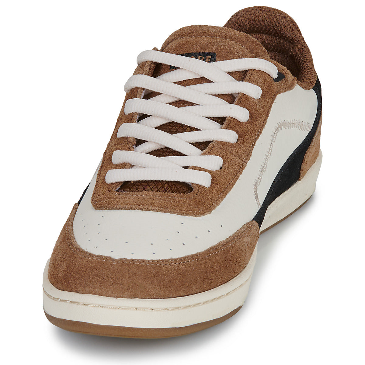Sneakers Uomo Globe  HOLAND  Marrone
