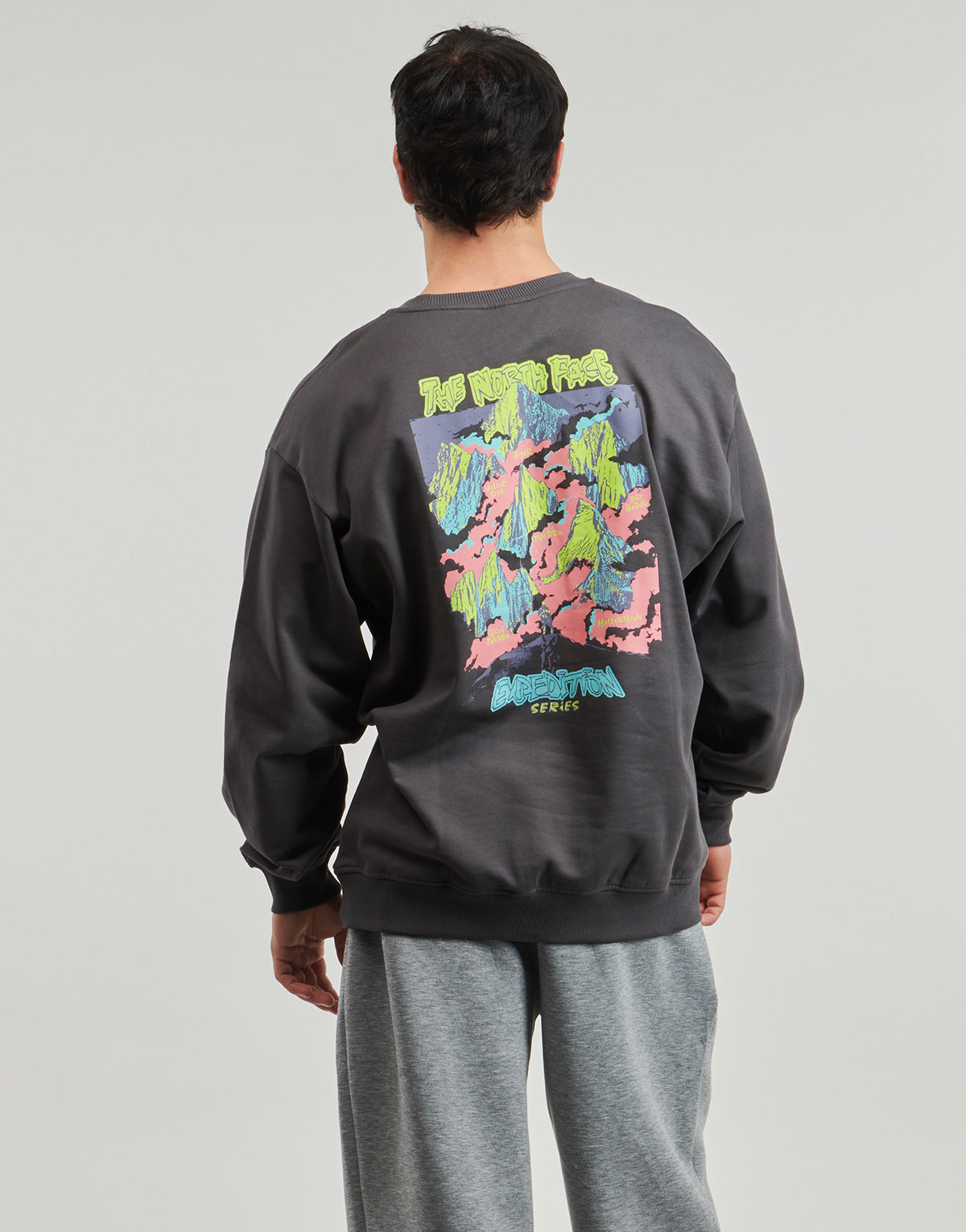 Felpa Uomo The North Face  U EXPEDITION CELEBRATION OVERSIZED  Grigio