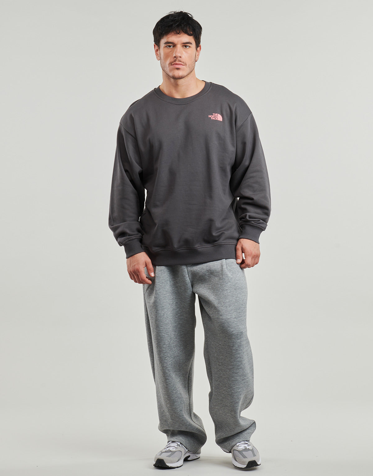 Felpa Uomo The North Face  U EXPEDITION CELEBRATION OVERSIZED  Grigio