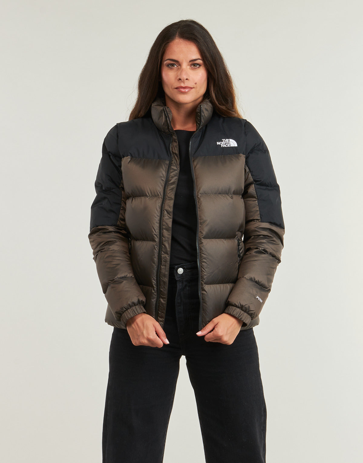 Piumino Donna The North Face  W DIABLO DOWN 2.0  Marrone
