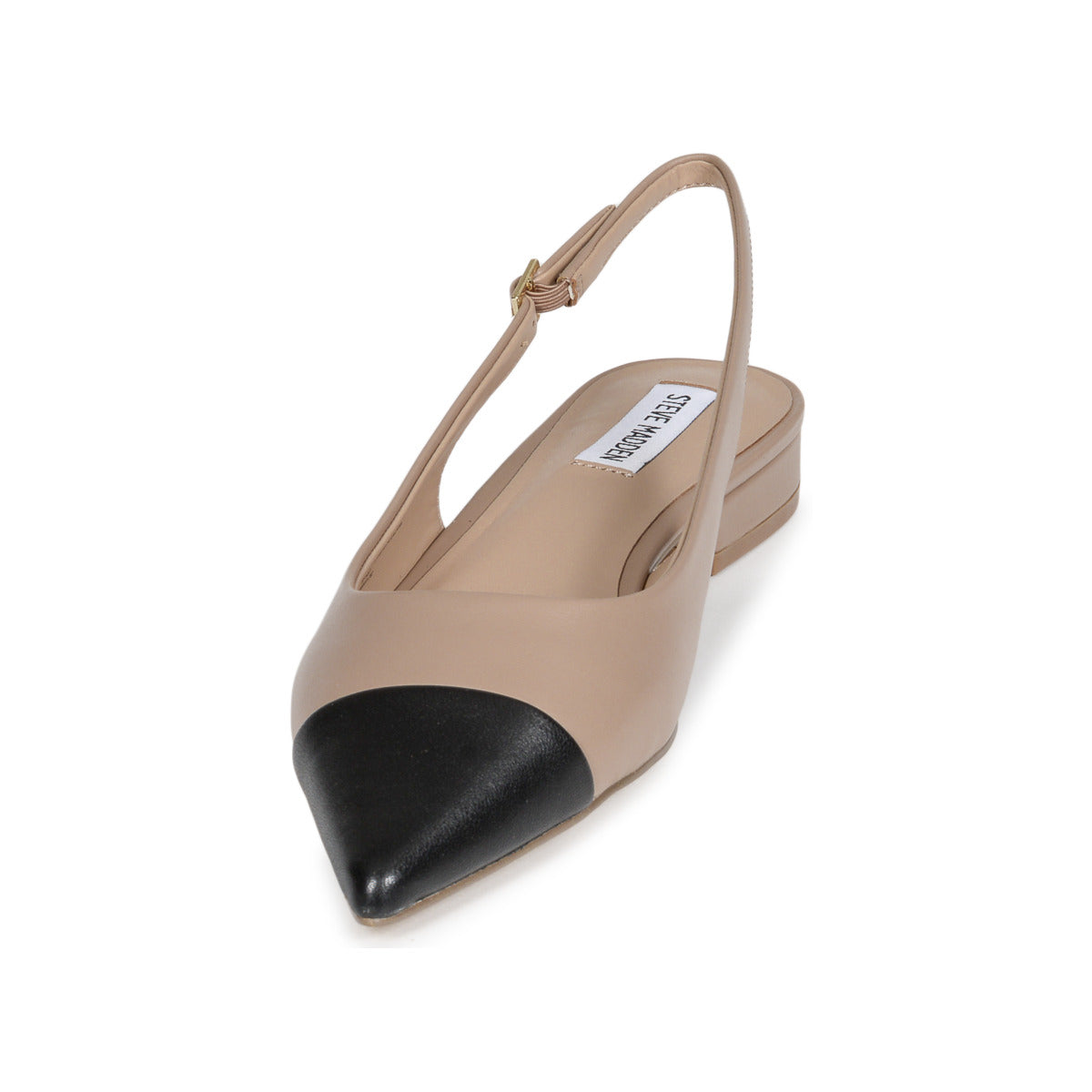 Ballerine Donna Steve Madden  ROWYN  Beige