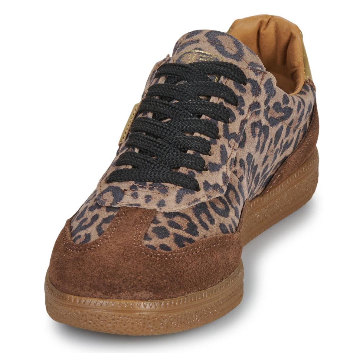 Sneakers basse Donna Steve Madden  EMPORIA  Marrone