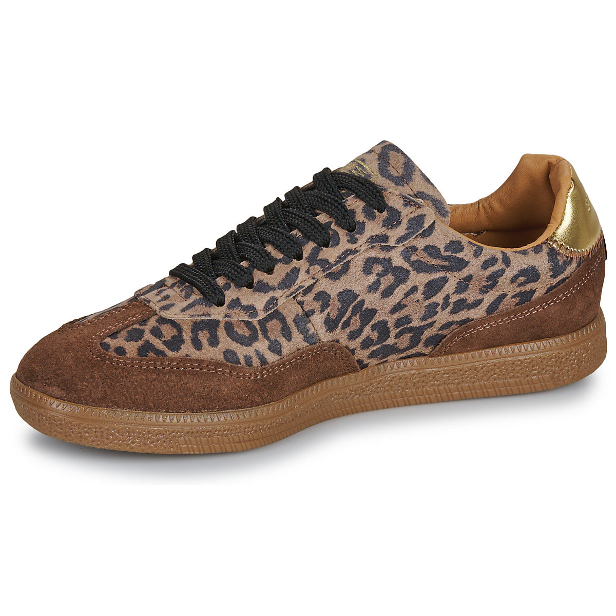 Sneakers basse Donna Steve Madden  EMPORIA  Marrone