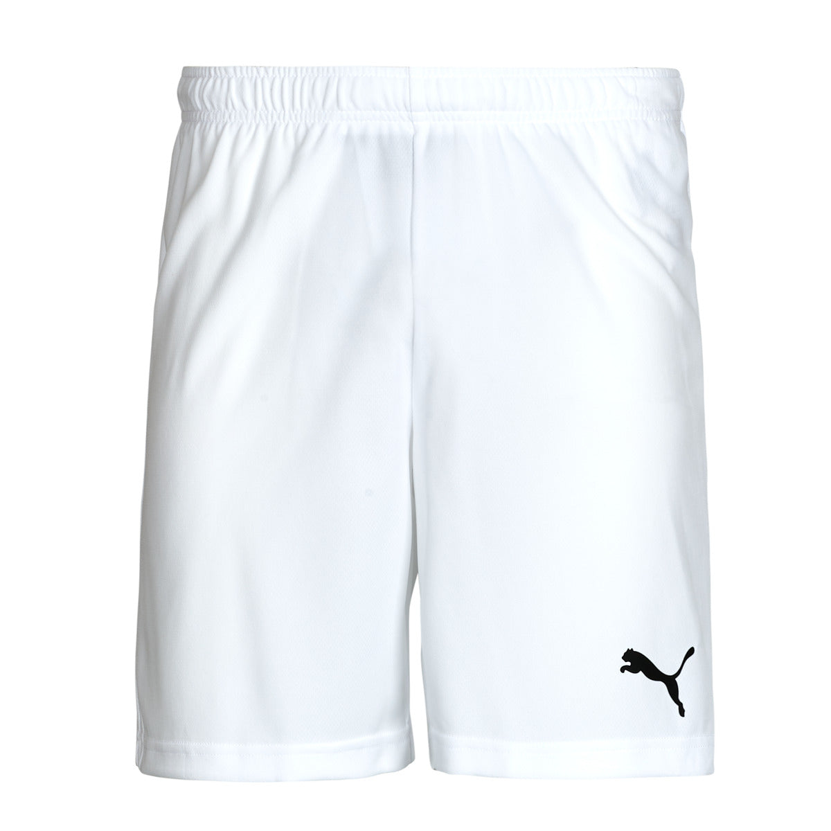 Pantaloni corti Uomo Puma  ESS ACTIVE WOVEN SHORT  Marine