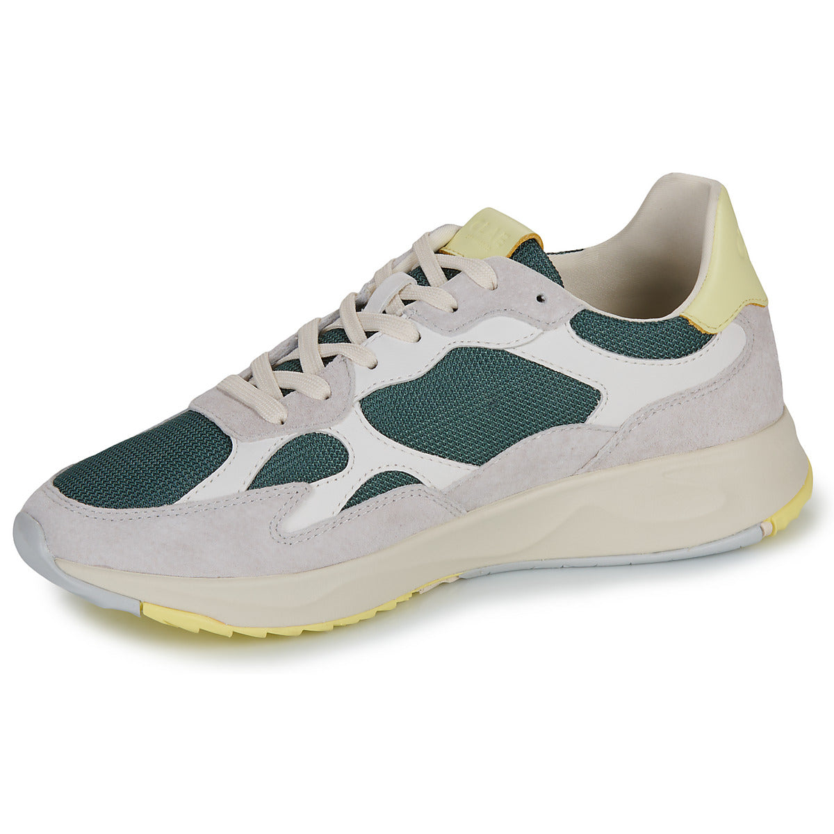 Sneakers Uomo Clae  ZUMA  Verde