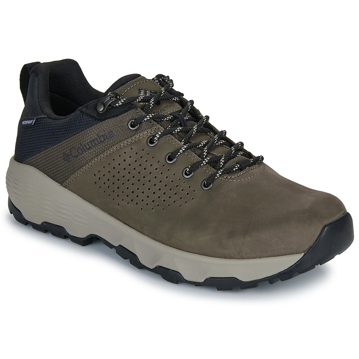 Scarpe da trekking Uomo Columbia  NEWTON NIMBLE  Marrone