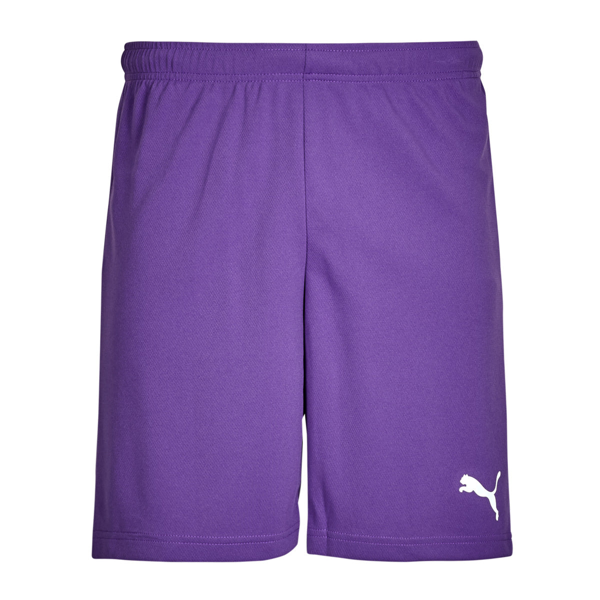 Pantaloni corti Uomo Puma  ESS ACTIVE WOVEN SHORT  Viola