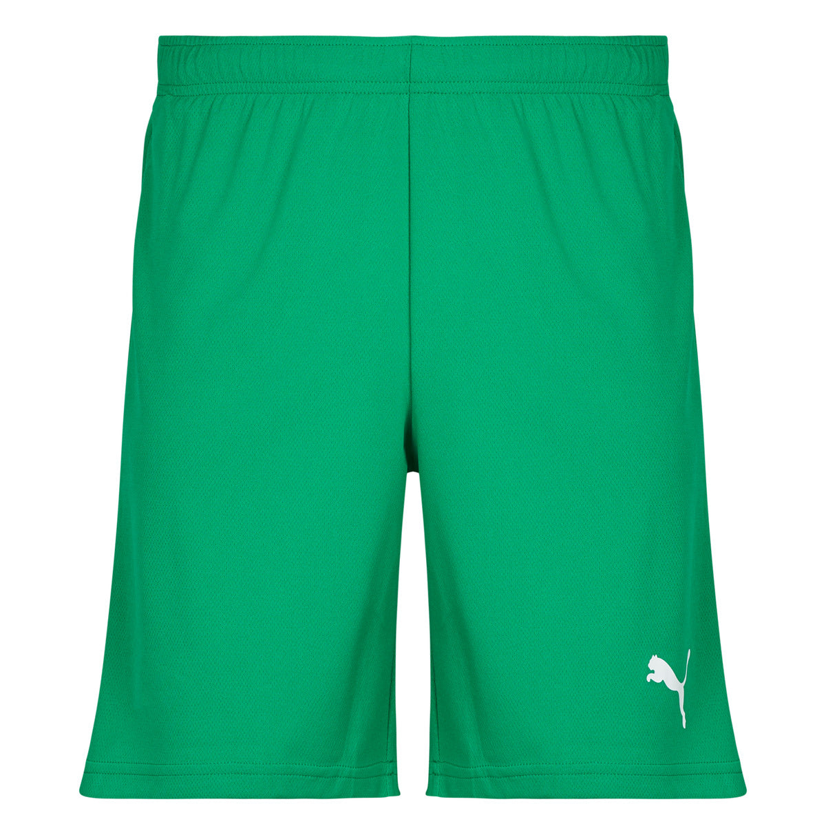 Pantaloni corti Uomo Puma  TEAMRISE MATCHDAY  Verde