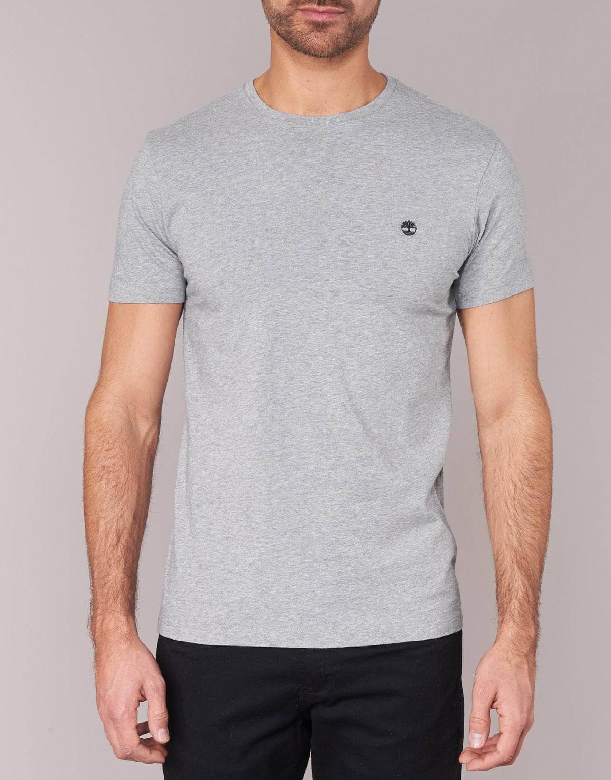 T-shirt Uomo Timberland SS DUNSTAN RIVER CREW TEE Grigio