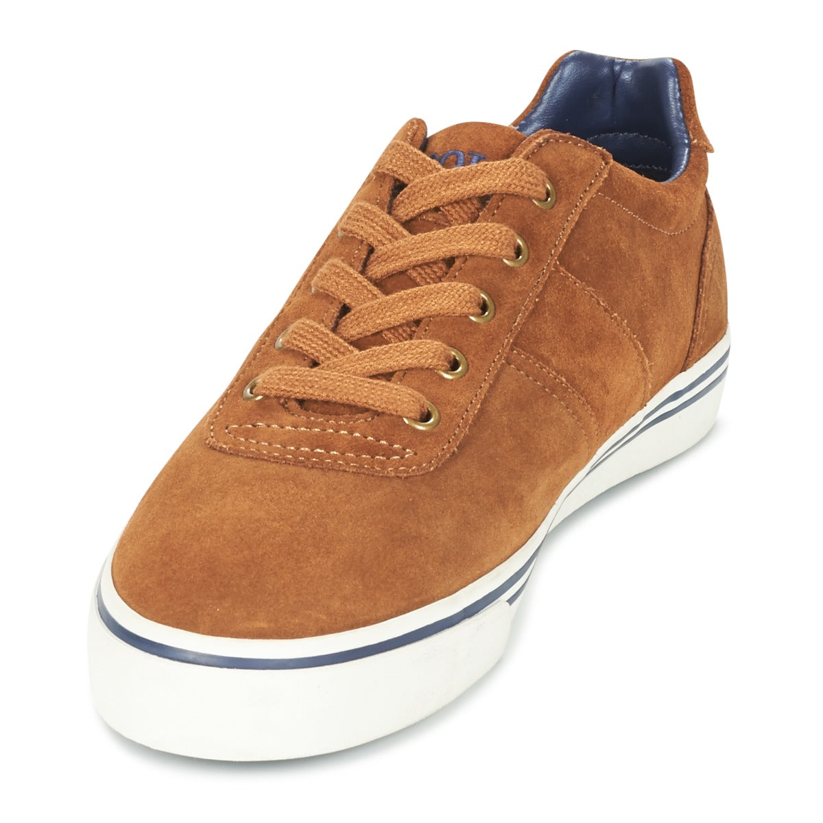 Sneakers Uomo Polo Ralph Lauren  HANFORD  Marrone