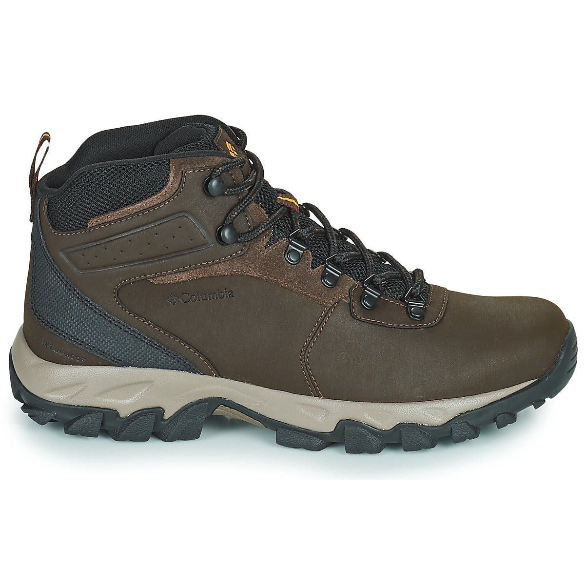 Scarpe da trekking Uomo Columbia  NEWTON RIDGE PLUS II WATERPROOF  Marrone